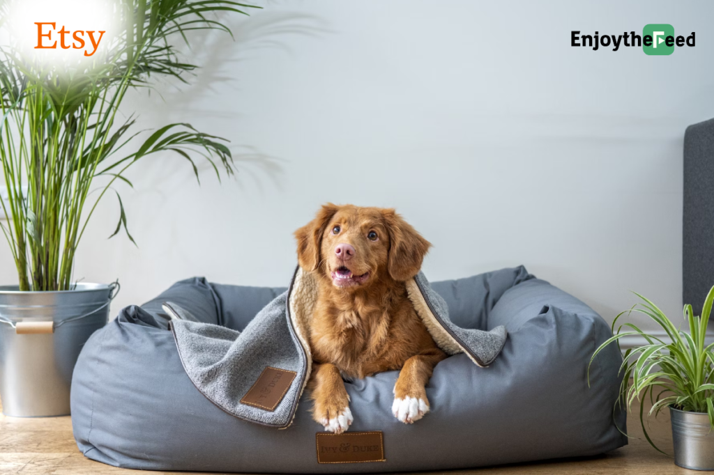 Pet Pampering on a Budget: Exclusive Discounts on Etsy Pet Supplies