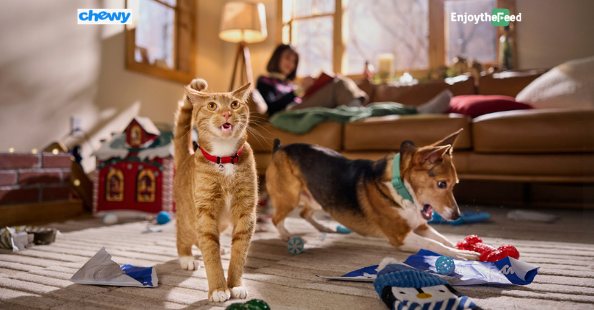 Delivering Happiness, One Pet at a Time with Chewy